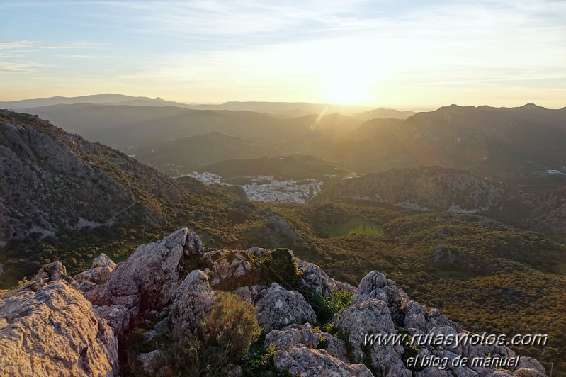 Caillo - Cintillo desde Benaocaz