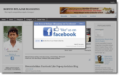 Contoh Tampilan Pop-Up Facebook Like