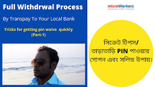 Microworkers Withdrawal process by Transpay