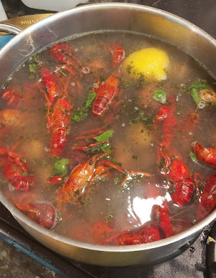 Boiling crayfish/crawfish in spices.