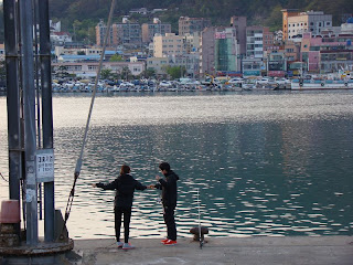 부산 대변항(Busan, South Korea)