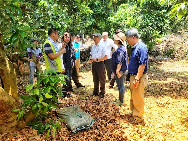 台中興隆社區貓頭鷹秘境 水保局力促環教連獲建築園冶獎