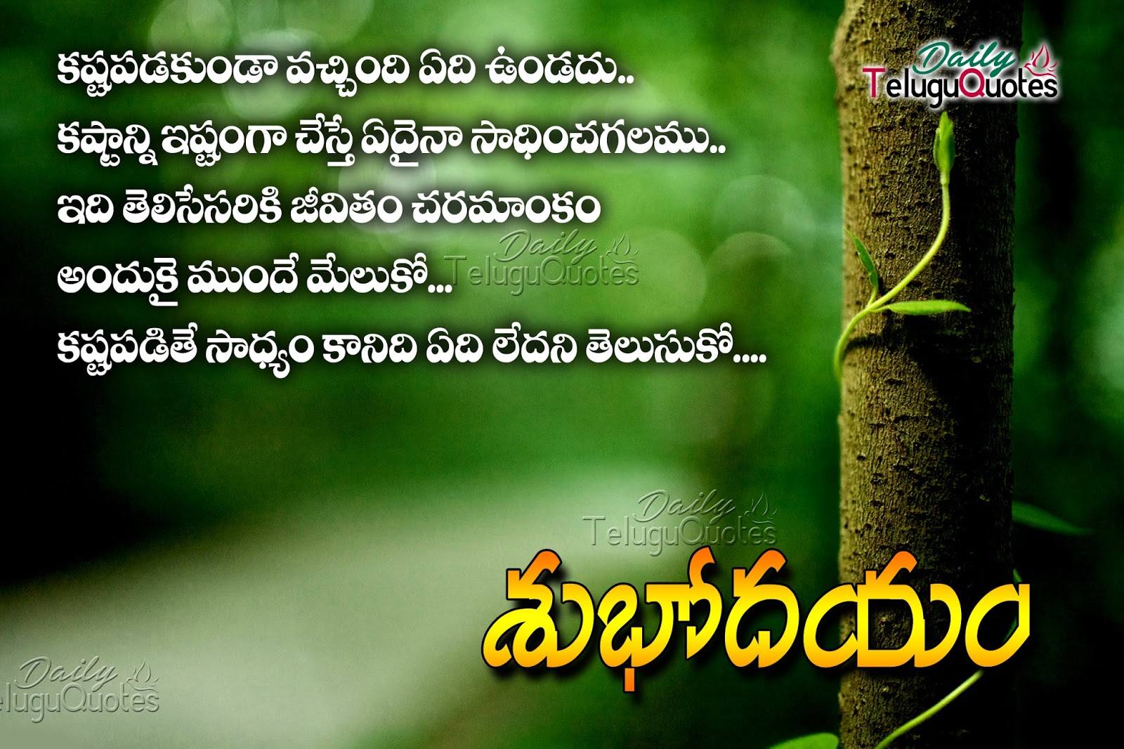 good morning telugu quotes greetings wishes ecards sms