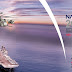 NAVDEX 2019 (UAE): record international participation