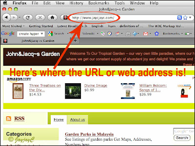 Screen shot of a browser window to illustrate the location of the URL or web address