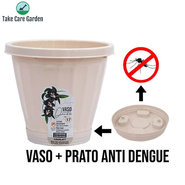 vaso de planta anti dengue