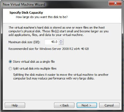 Virtual Disk Capacity 