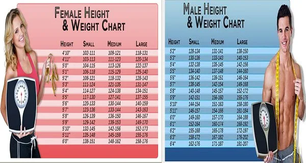 Chart: This Is What You Should Weight According To Age, Body Shape And Height