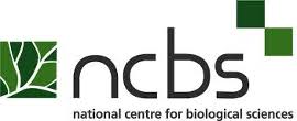 National Centre for Biological Sciences Assistant Professor Job Openings 2020