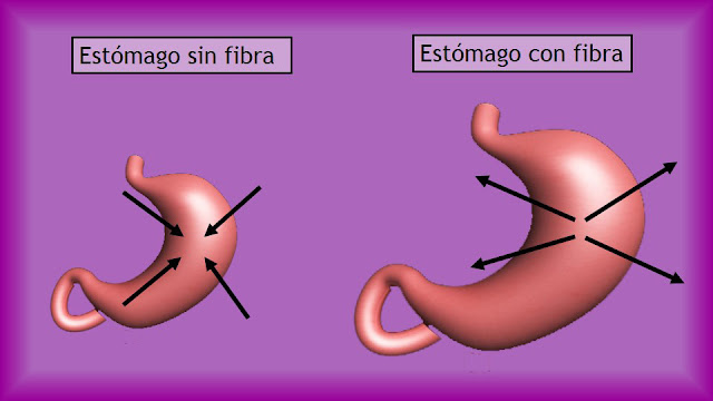 dietas para bajar de peso