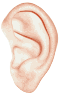 Tinnitus: The 3 Emotional Stages