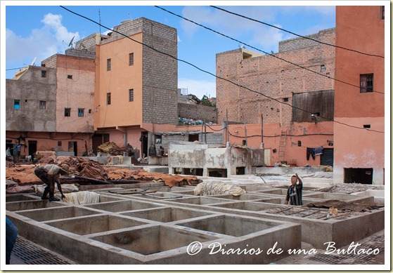 Curtidurias-14