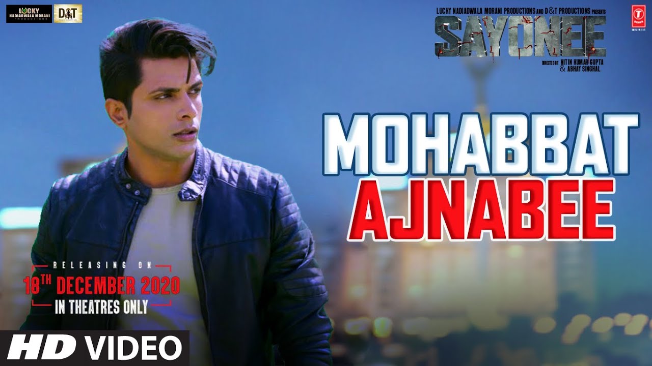 Mohabbat Ajnabee Lyrics Sayonee