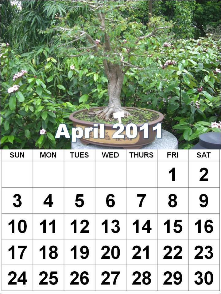 printable calendars march 2011. pictures, Printable