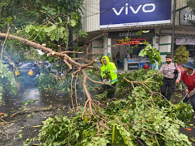Samapta Polres Blitar Kota Sigap Evakuasi Pohon Tumbang di Jalan Merdeka 2