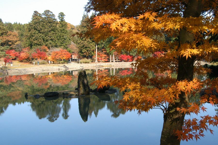 Let's Learn Japanese 日本語を勉強しましょう: Japanese Gardens ...