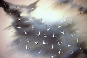 Seagulls Following the Plow, Edzell Skies, Scotland - Watercolor by F. Lennox Campello, c. 1989