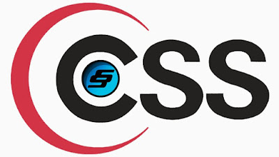 best CSS crash course online