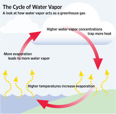 Image result for water vapour climate change diagram