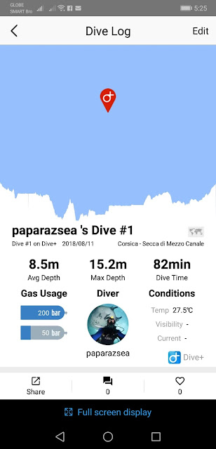 scuba diving, underwater photography, huawei p20 pro underwater, paparazsea