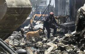 Chito, Zo y Bruno, los tres perros que buscan bajo los escombros víctimas de la explosión en San Cristóbal