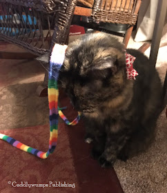 Real Cat Paisley with rainbow ribbon on her ear_Feb 2018