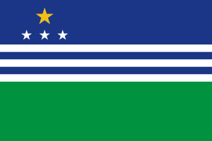 Bandeira de Carangola MG
