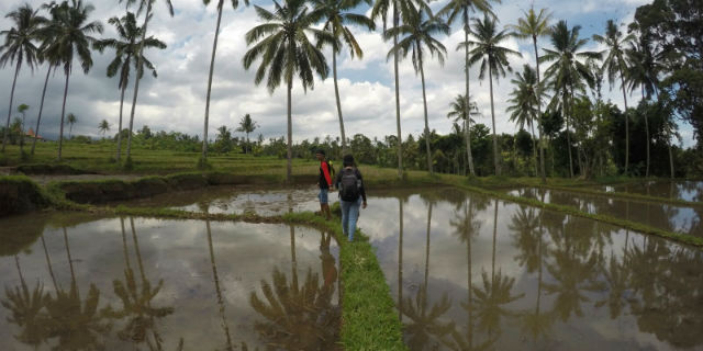 Wisata Desa Banjar di Kec. Licing, Banyuwangi.