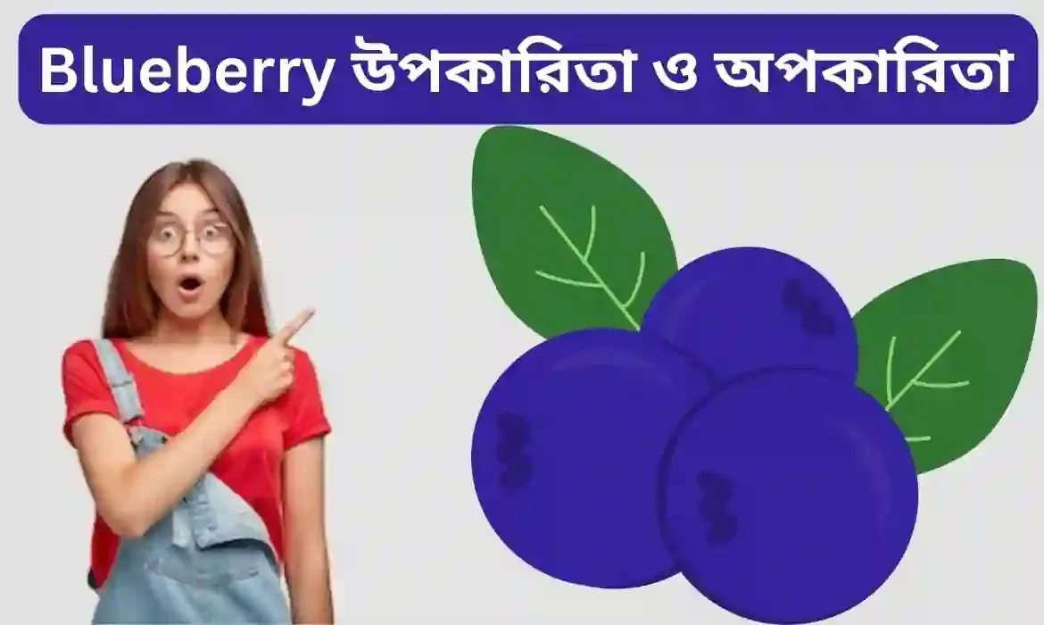 Blueberry Fruit - ব্লুবেরি ফল খাওয়ার উপকারিতা ও অপকারিতা