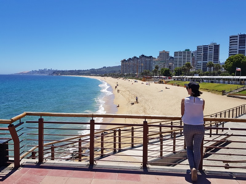 Tour Valparaíso e Vinã de Mar