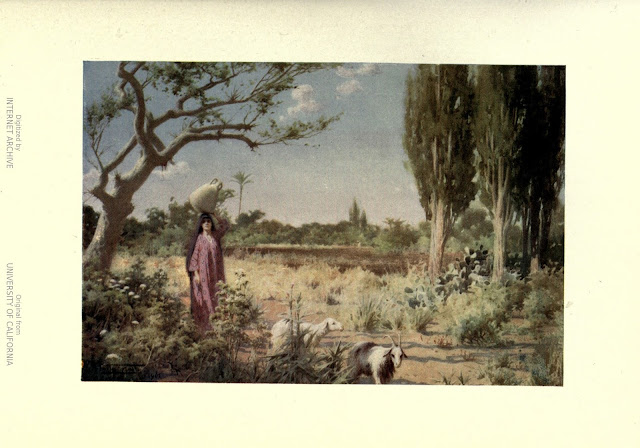 مراعي في دمياط للرسام روبرت تالبوت كيلي (Robert Talbot Kelly)