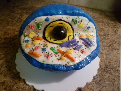 how to make animal cell 3d model. An Edible Animal Cell Model