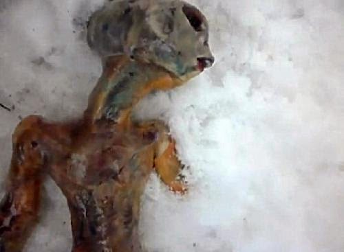 Tranger Trouvs Morts En Sibrie 2011