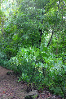 Puriscal, Costa Rica