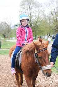 Kinderbauernhof im Center Parcs Bostalsee Ponyreiten