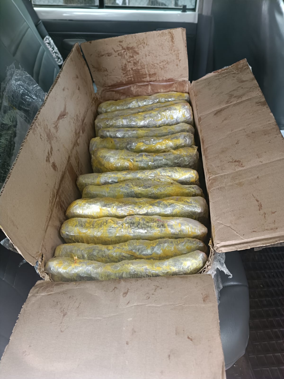 https://www.notasrosas.com/7.000 gramos de marihuana incautan en Riohacha, Guías Caninos de la Policía Nacional