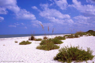 Panhandle of Florida's white sandy beaches