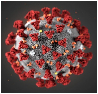 Mutated Coronavirus | The New Disease 