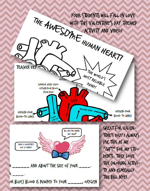 https://www.teacherspayteachers.com/Product/Valentines-day-human-heart-activity-5th-6th-7th-8th-coloring-sheet-Bill-Nye-1103861