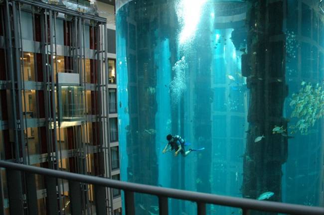 Aquadom - World's Largest Cylindrical Aquarium