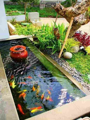 Desain kolam ikan minimalis di lahan sempit, kolam ikan hias di depan rumah