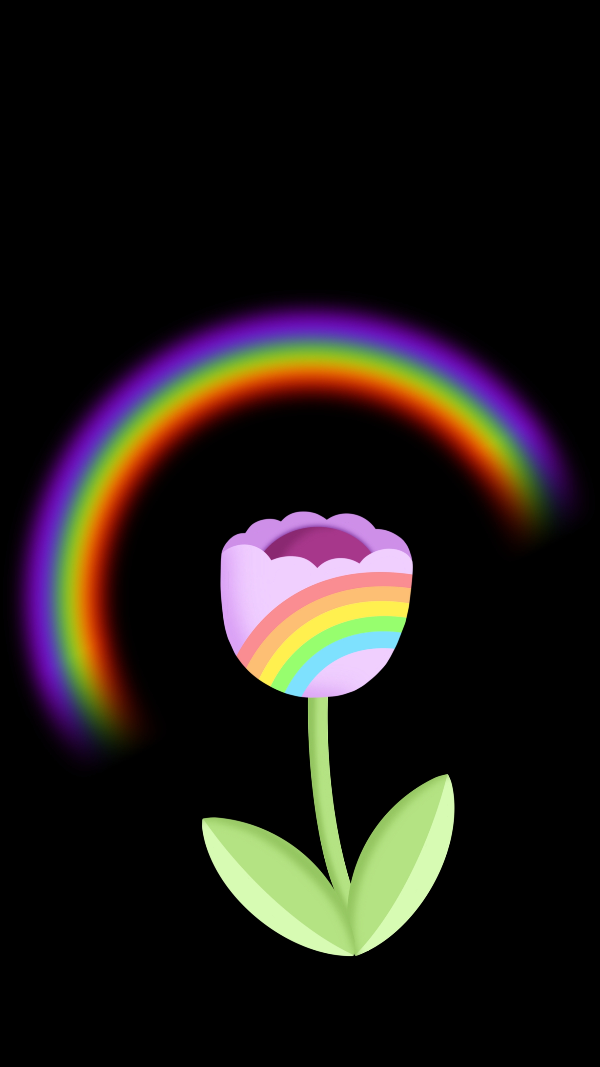 500 Lgbt Wallpapers  Wallpaperscom