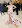 Lili Reinhart arrives in semi sheer floral gown to the 2021 Met Gala