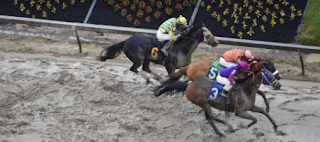 Two Horses Die In First Four Races Of Preakness Saturday 