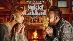 Sukki Lakkad Lyrics - Master Saleem | Jatinder Jeetu | Latest Punjabi Song 2020