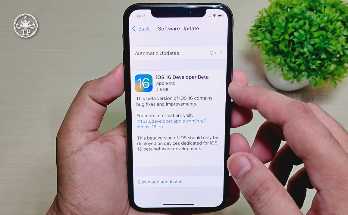 How to Install iOS Beta Apple iPhone