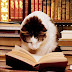 Tertulia de Cine e Historia, “Leer libros: apuntes sobre un mal hábito”.