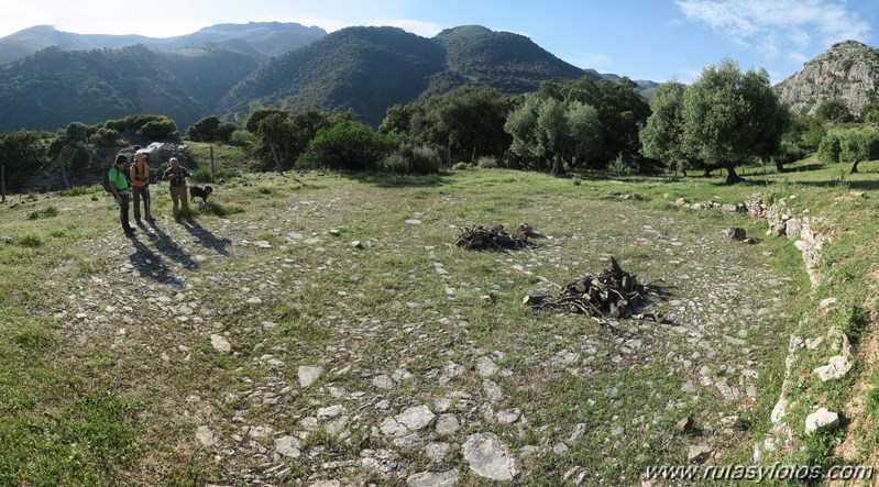 Tajo del Abanico - Encinas Borrachas - rio Audalazar - Alpandeire