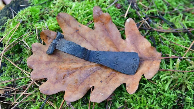 Οι αρχαιολόγοι βρήκαν επίσης μια πόρπη 2.000 ετών, η οποία χρησιμοποιήθηκε για τη στερέωση ρούχων. [Credit: Starogard Forest District μέσω Facebook]