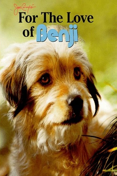 [HD] For the Love of Benji 1977 Film Complet Gratuit En Ligne